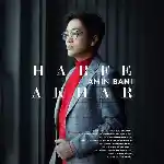 دانلود آهنگ حرف آخر از امین بانی